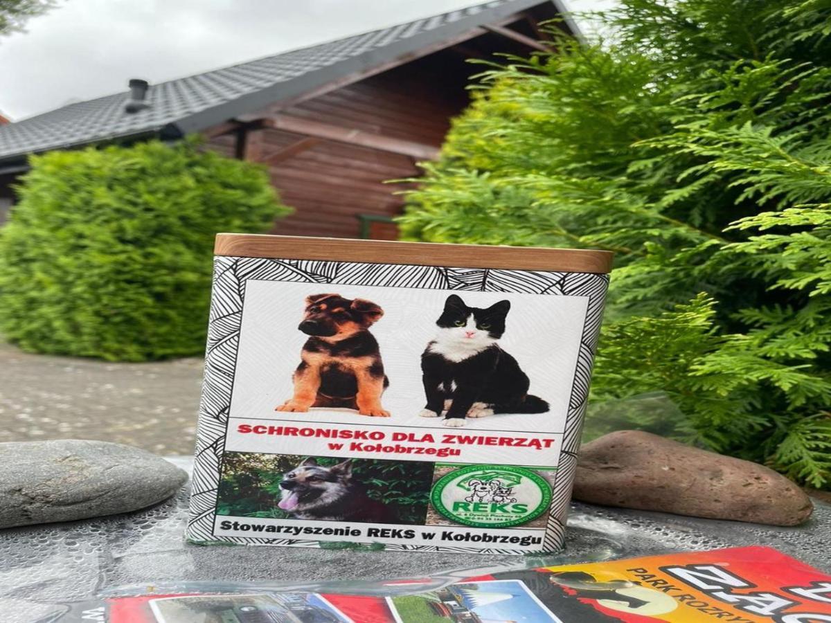 Domki Pod Brzozami Dźwirzyno Exterior foto